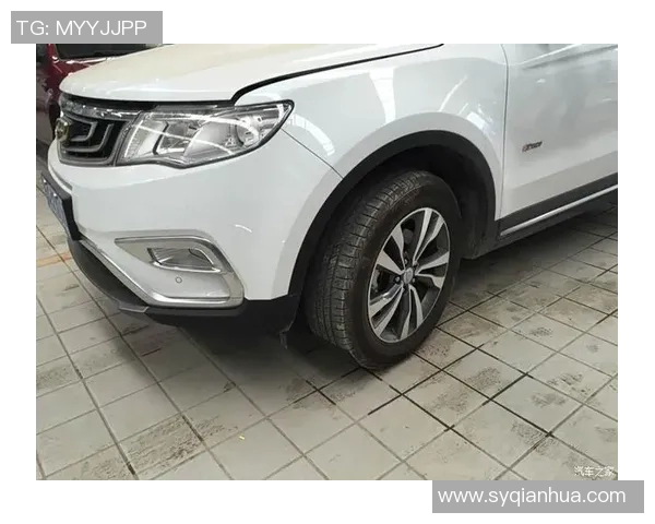 足球明星为何钟情于罗斯的独特魅力与吸引力解析