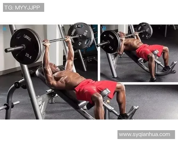 哑铃与杠铃的完美结合如何提升你的力量训练效果与健身体验